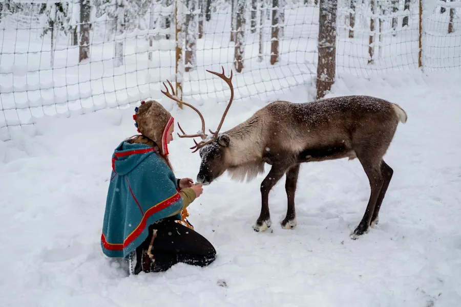 jokkmokk-och-samiska-marknaden