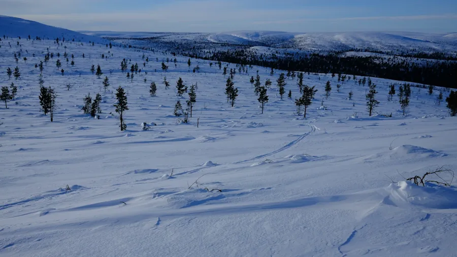 lemmenjoki-national-park-finland