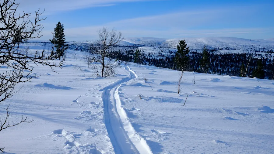 lemmenjoki-nationalpark-finland