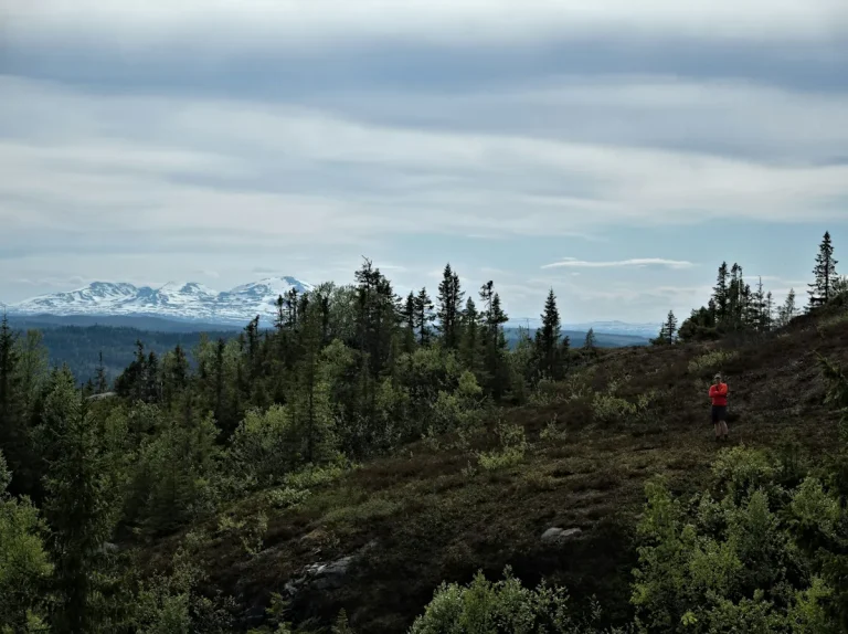 svenska fjällen